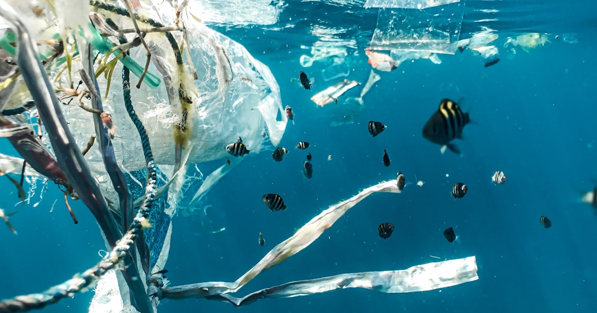 A Crise do Plastico nos Oceanos